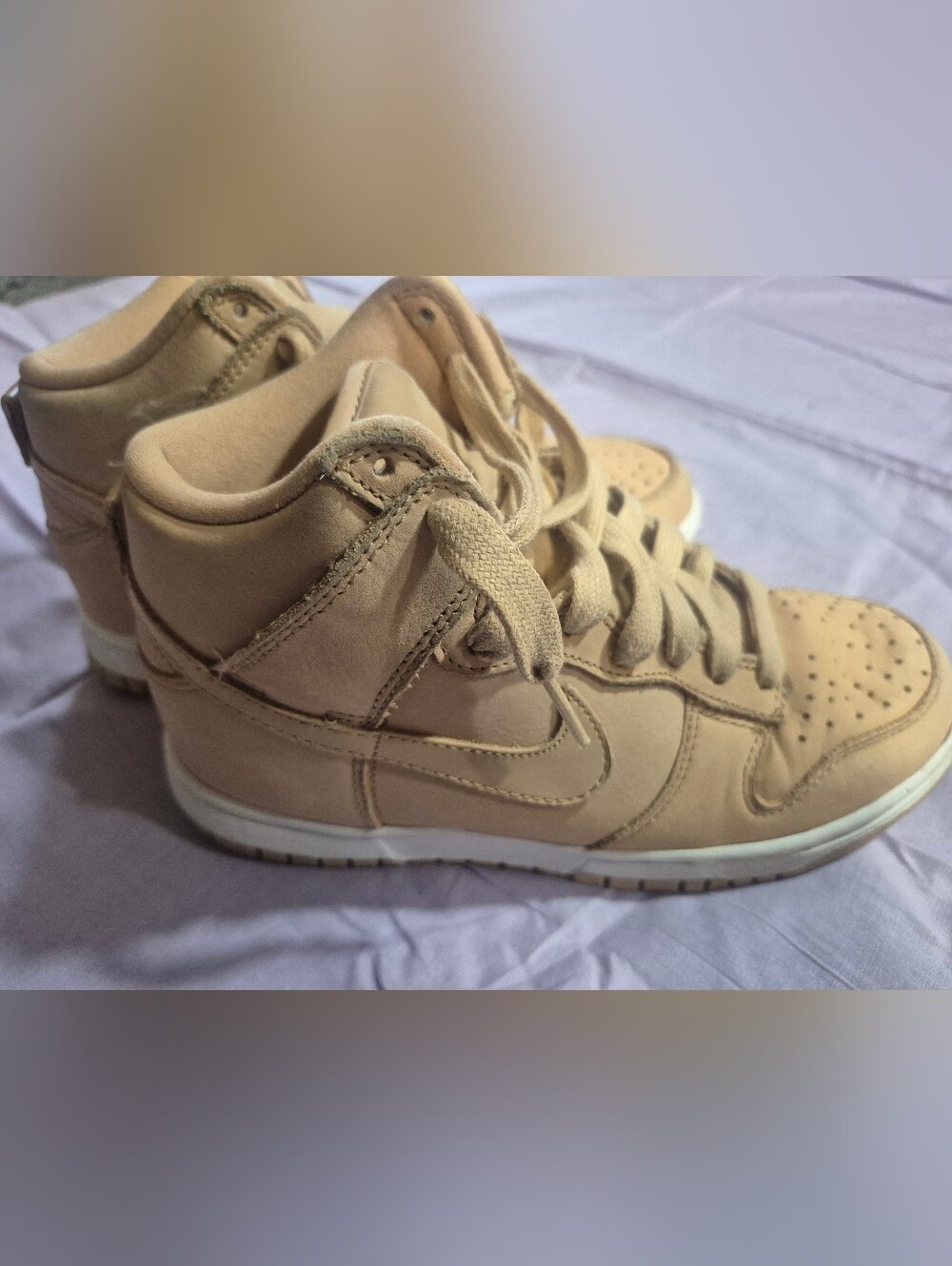Nike Dunk Hi Tops